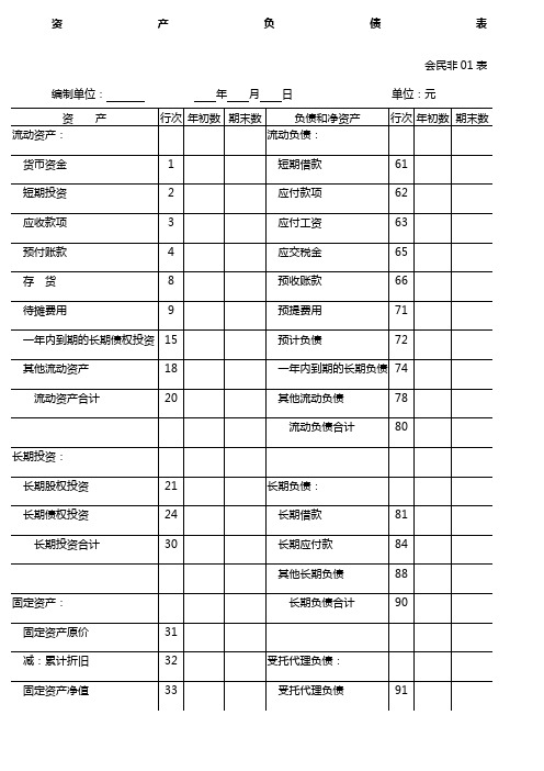 民间非营利组织财务报表