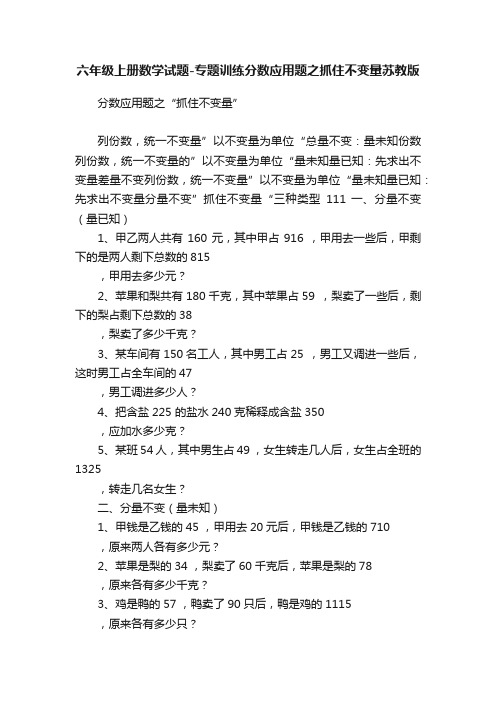 六年级上册数学试题-专题训练分数应用题之抓住不变量苏教版