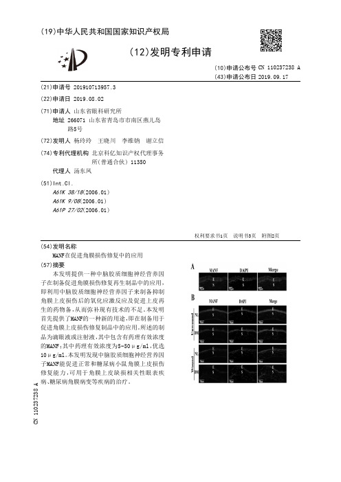 MANF在促进角膜损伤修复中的应用[发明专利]