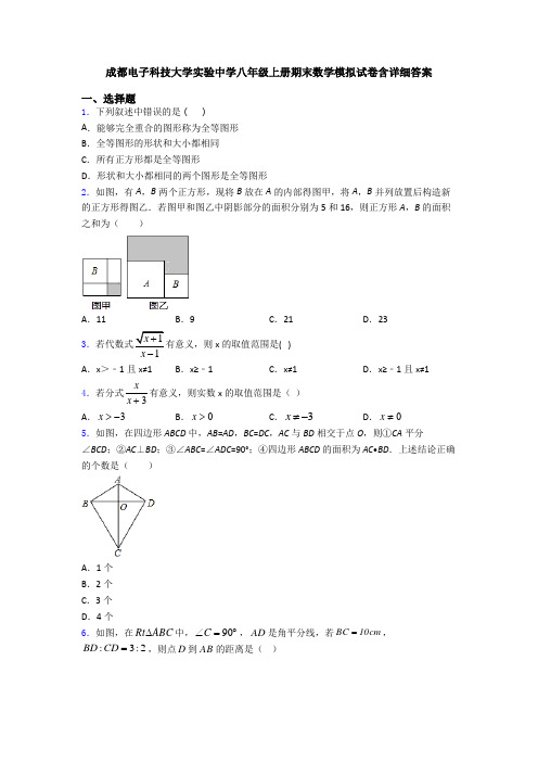 成都电子科技大学实验中学八年级上册期末数学模拟试卷含详细答案