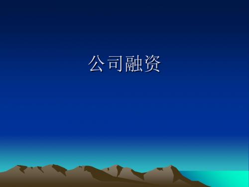 公司融资概述(ppt 42页)