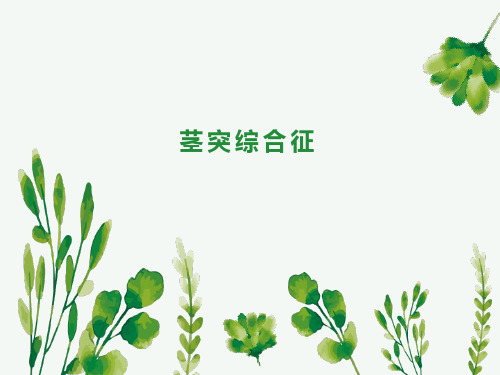 茎突综合征影像诊断