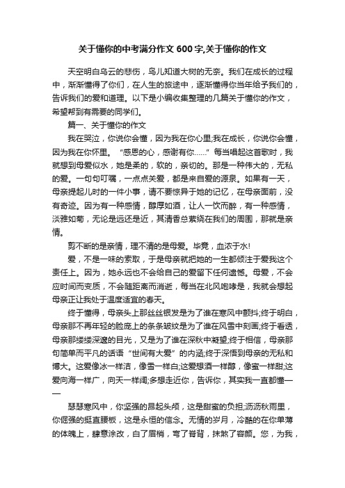 关于懂你的中考满分作文600字,关于懂你的作文