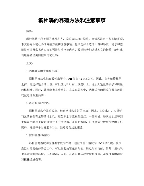 簕杜鹃的养殖方法和注意事项