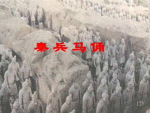 《秦兵马俑》课件2.PPT