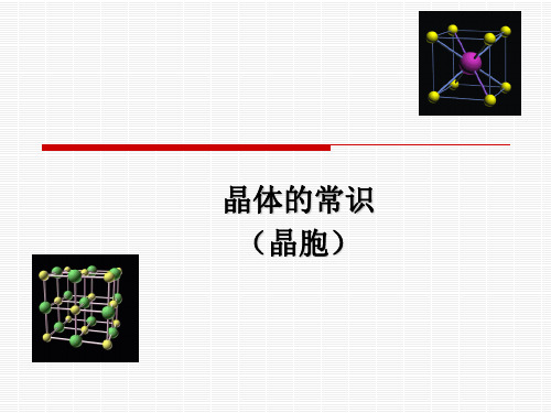 高中化学  晶胞