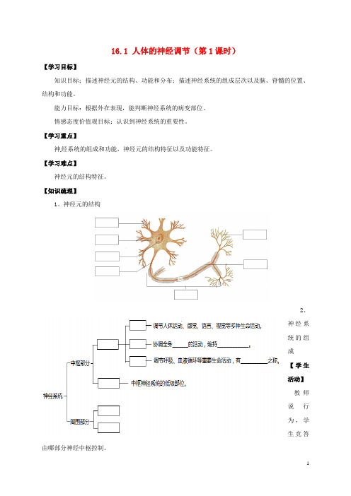 江苏省镇江市八年级生物上册16.1人体的神经调节学案1(无答案)(新版)苏科版