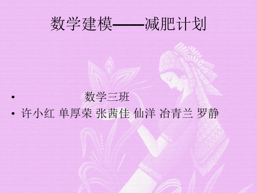 数学建模——减肥计划(修改版)