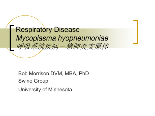 呼吸系统疾病-猪肺炎支原体