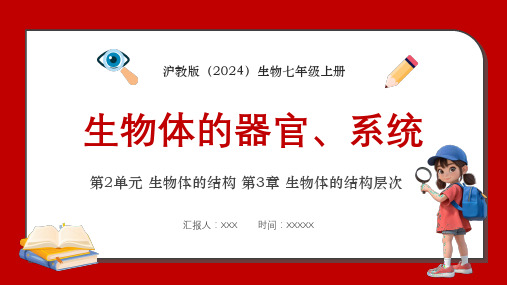 沪教版七年级生物上册《生物体的器官、系统》教学课件