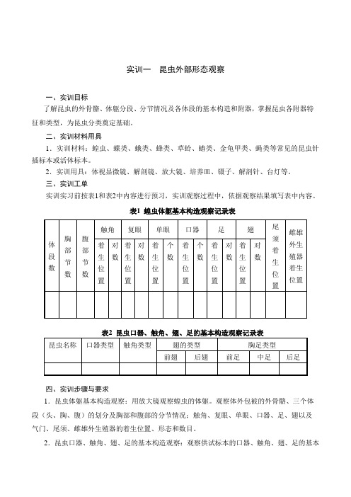 昆虫外部形态观察(最全)word资料