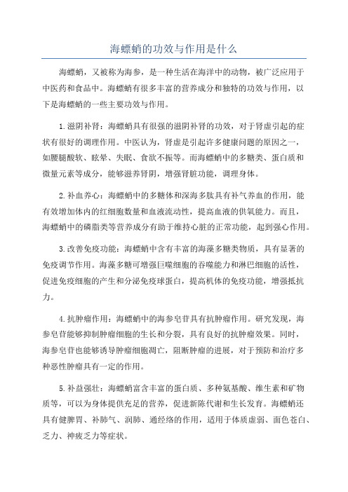 海螵蛸的功效与作用是什么