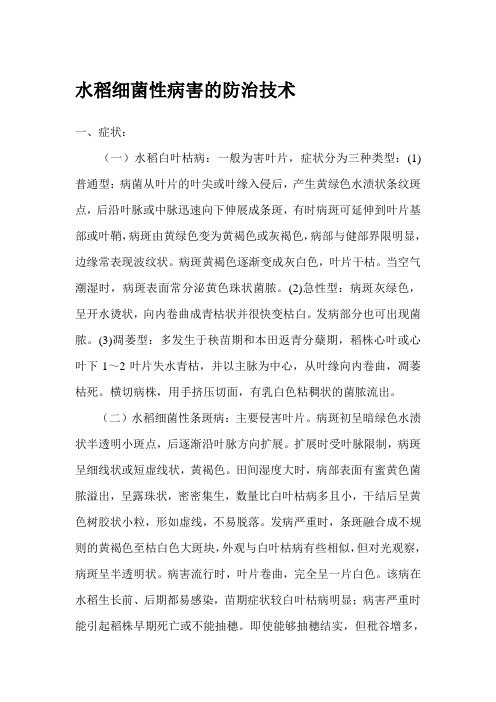 水稻细菌性病害的防治技术