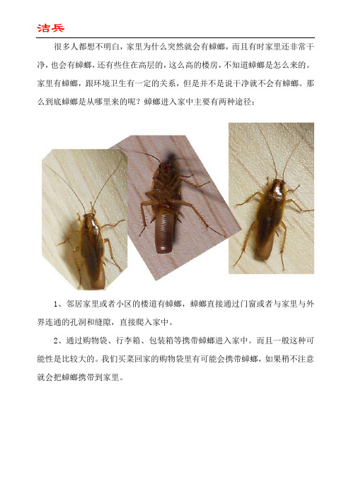 为什么家里突然有蟑螂