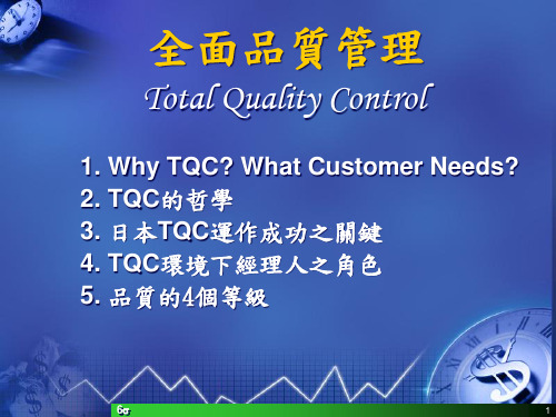 TQM全面质量管理的运作(ppt 29页)