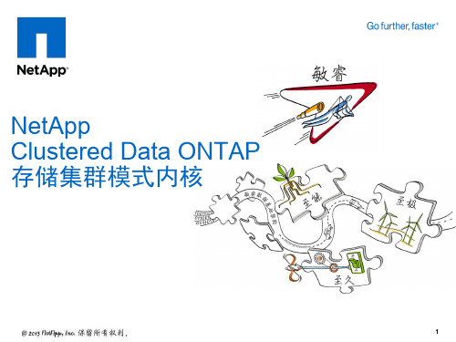 NetApp CDOT存储集群模式介绍