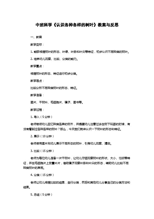 中班科学《认识各种各样的树叶》教案与反思