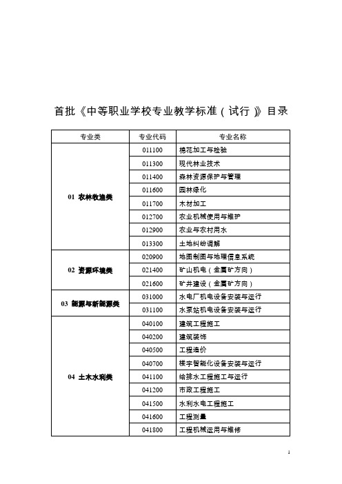 中等职业学校专业教学标准