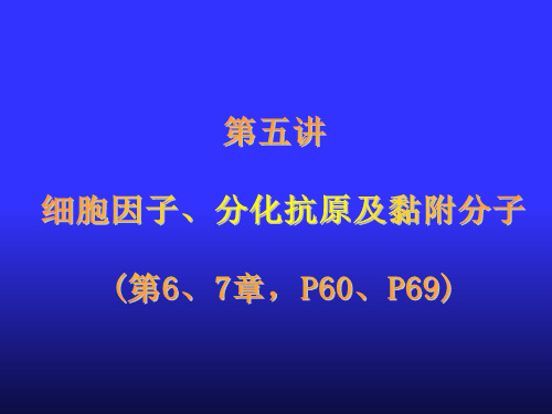 第5讲 细胞因子、分化抗原及黏附分子(第6、7章))j 医学免疫学课件