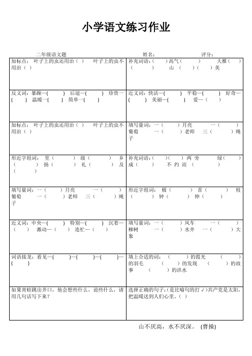 二年级语文随堂精选习题II (19)