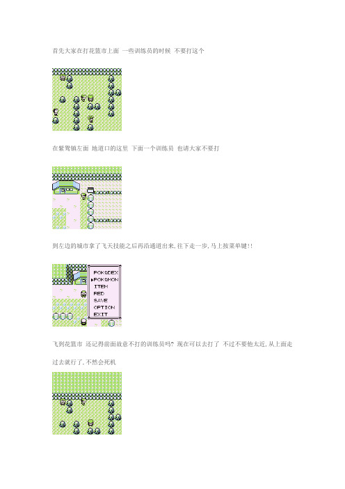 口袋黄资料