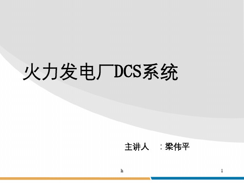 火力发电厂DCS系统