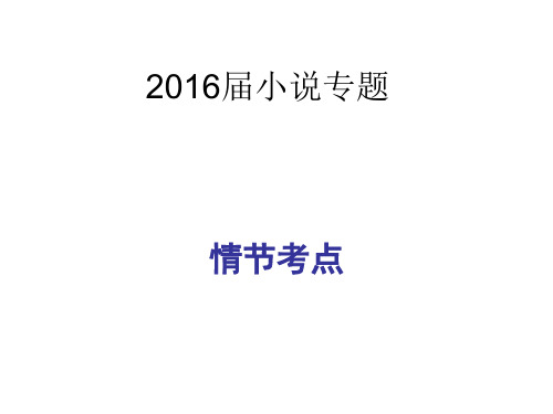 2016届小说情节专题