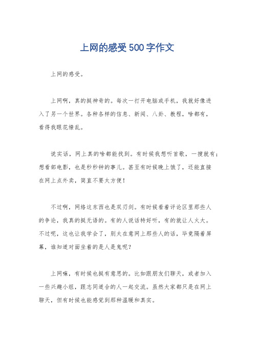 上网的感受500字作文