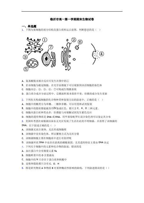 临沂市高一第一学期期末生物试卷