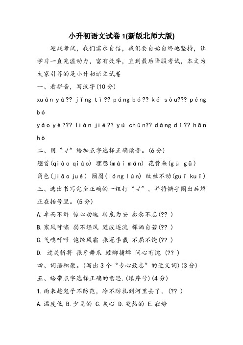 小升初语文试卷1(新版北师大版)