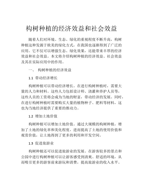 构树种植的经济效益和社会效益