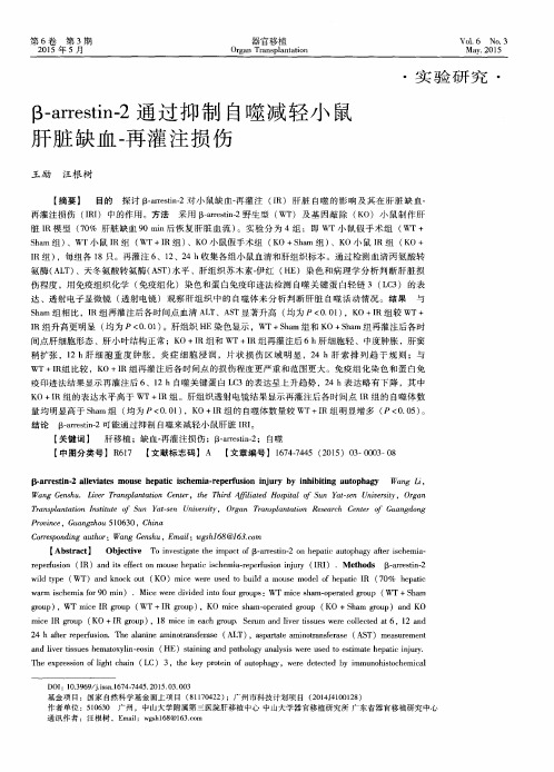 β-arrestin-2通过抑制自噬减轻小鼠肝脏缺血-再灌注损伤