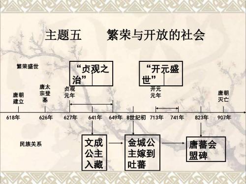 中考历史主题5繁荣与开放的社会复习课件