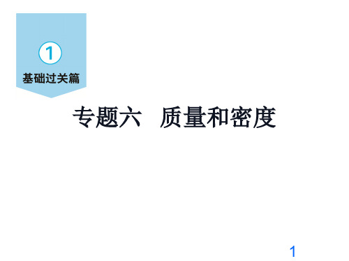 质量和密度—2021届九年级物理中考复习课件