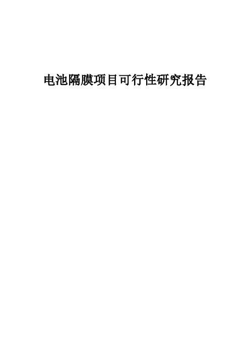 电池隔膜项目可行性研究报告