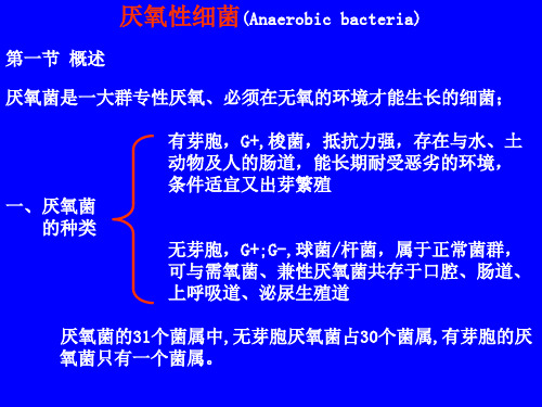 厌氧性细菌