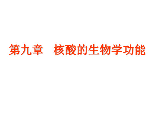 动物生化第九章核酸的生物学功能1精品文档