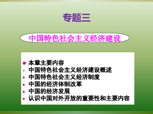 专题三 中国特色社会主义经济建设