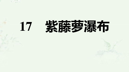 部编版七年级下册语文 第17课 紫藤萝瀑布 重点练习课后习题课件