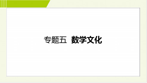 2022年人教版中考数学满分大专题五-数学文化