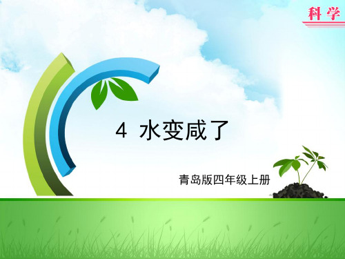 4—2单元4 水变咸了
