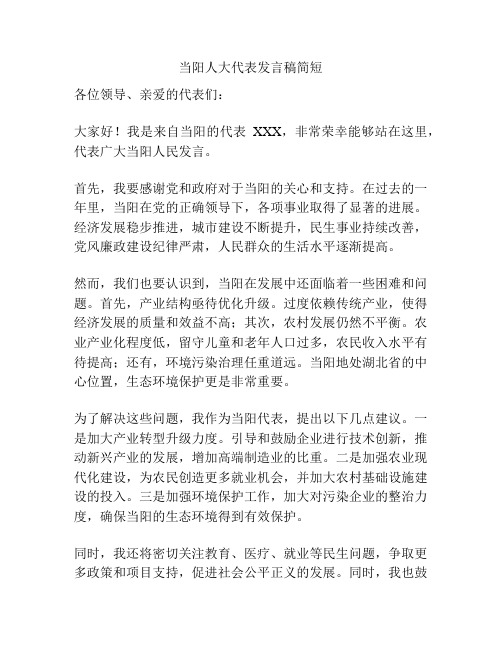 当阳人大代表发言稿简短