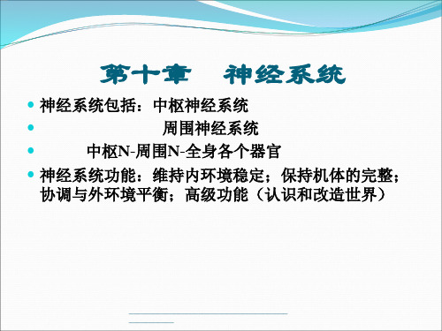 最新生理学基础第十章 神经系统