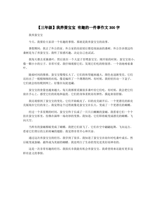 【三年级】我养蚕宝宝 有趣的一件事作文300字