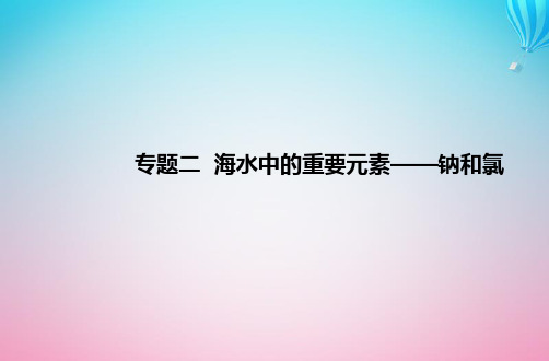 2024届高考化学学业水平测试复习专题二第一节钠及其化合物课件