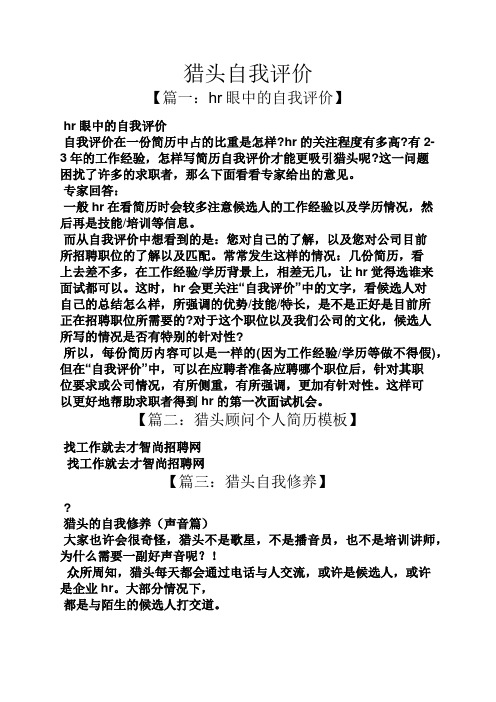 猎头自我评价