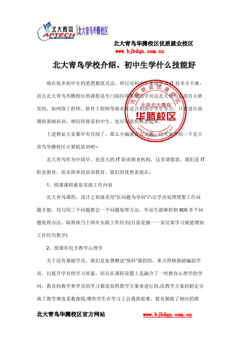 北大青鸟学校介绍、初中生学什么技能好