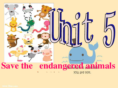 《Unit 5 Save the endangered animals》课件：words八年级英语下册