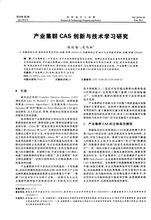 产业集群CAS创新与技术学习研究