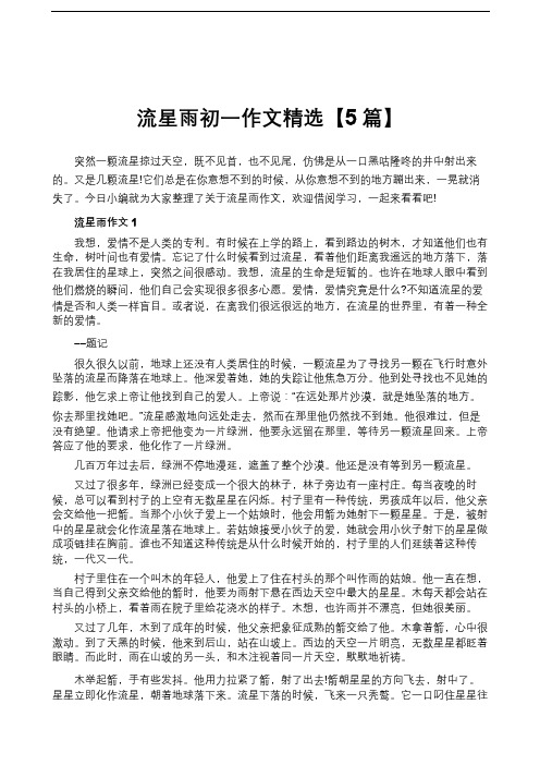 流星雨初一作文精选【5篇】